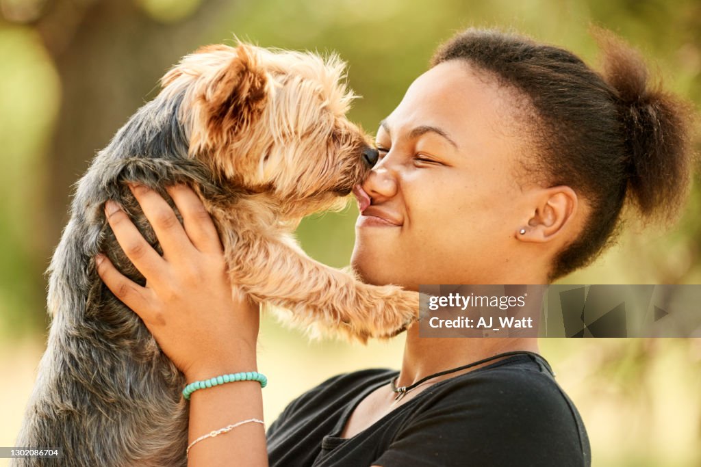 Söt liten hund slickar sin ägares ansikte utanför på sommaren