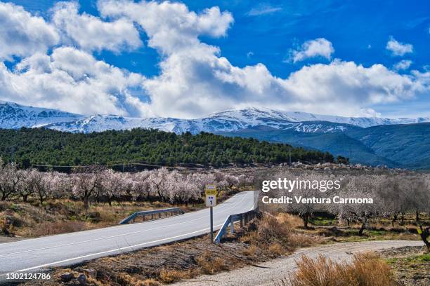 andalusian country road at aldeire - granada province, spain - granada province imagens e fotografias de stock