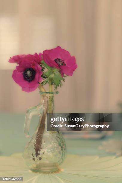 purple anemone flowers in green sea glass vase - anemone flower arrangements stock pictures, royalty-free photos & images