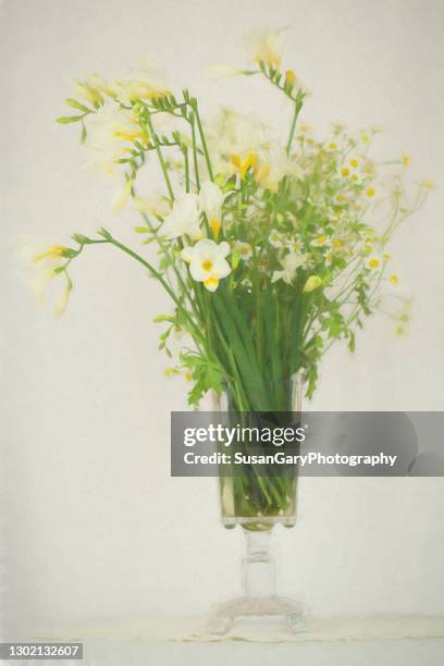 white and yellow freesia in tall glass vintage vase - freesia stock pictures, royalty-free photos & images