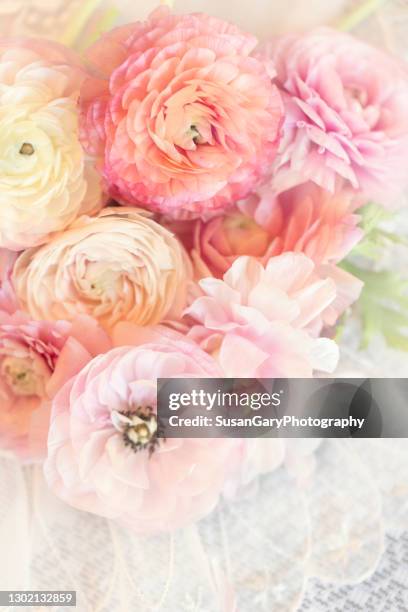High Res Ranunculus Peach Ranunculus Photos and Premium High Res Pictures - Getty Images