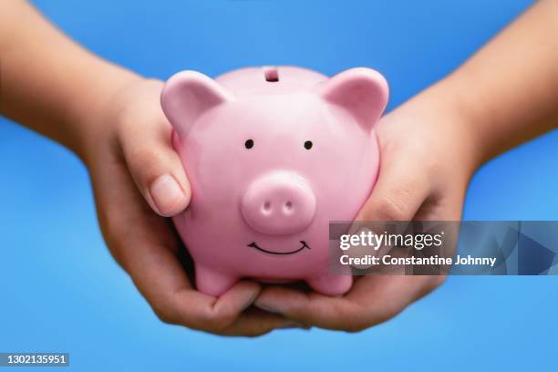 hands holding piggy bank - zakgeld stockfoto's en -beelden