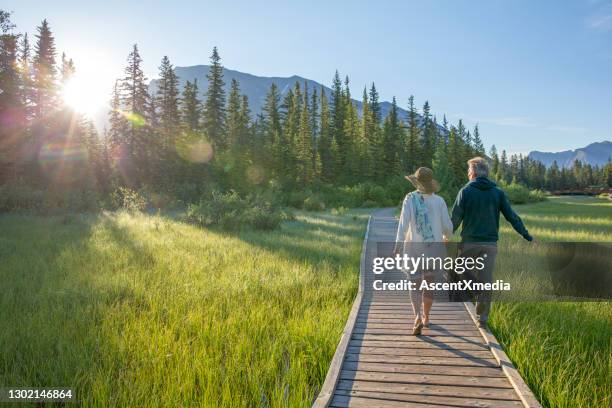 het paar loopt onderaan promenade over moeras, zonsopgang - boardwalk stockfoto's en -beelden