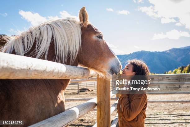 young woman in western corral with horse - country western outside stockfoto's en -beelden