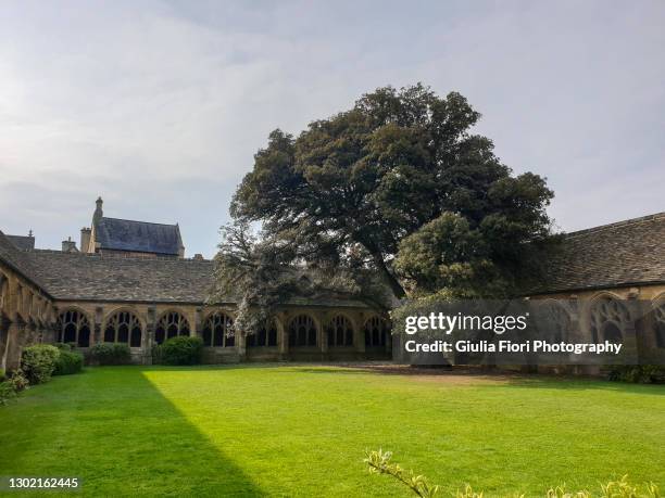 cloysters in new college, oxford, uk - hogwarts stock pictures, royalty-free photos & images