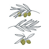 Set of olive branches in a modern linear style isolated on white background.