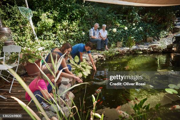 multi-generation family at garden pond - water garden stock pictures, royalty-free photos & images