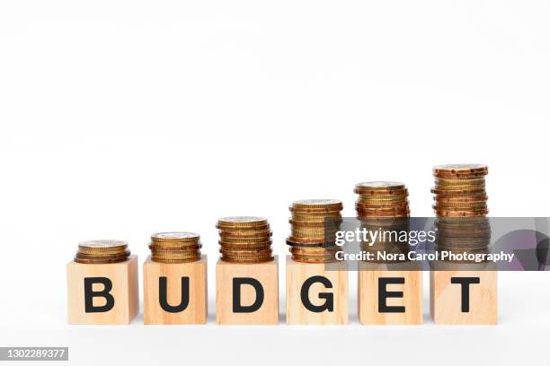 budget concept - année fiscale photos et images de collection