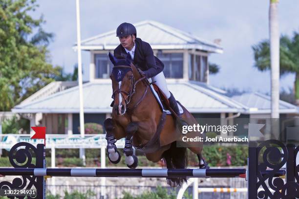 Pessoa Ridden 618 Rodrigo Pessoa Photos & High Res Pictures - Getty Images