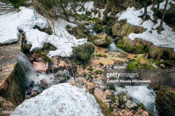 small pond - nickola beck stock pictures, royalty-free photos & images