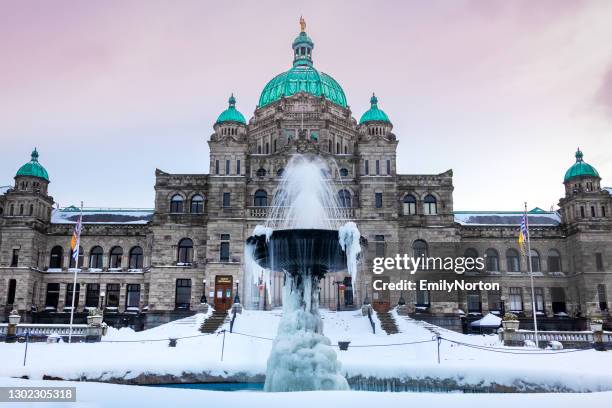 rara queda de neve em victoria, colúmbia britânica - federal district - fotografias e filmes do acervo