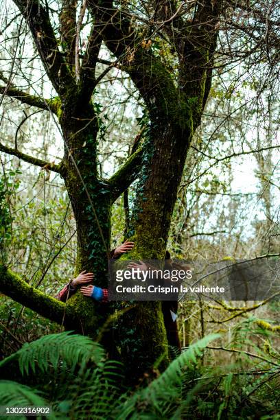 hugging trees - tree hugging stock pictures, royalty-free photos & images