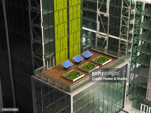 solar panels and planted lettuce on terrace of a modern building - jardim na cidade imagens e fotografias de stock