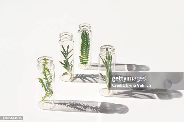 organic, bio cosmetics healthy concept with natural plants in bottles.. - skin care ingredients stock pictures, royalty-free photos & images