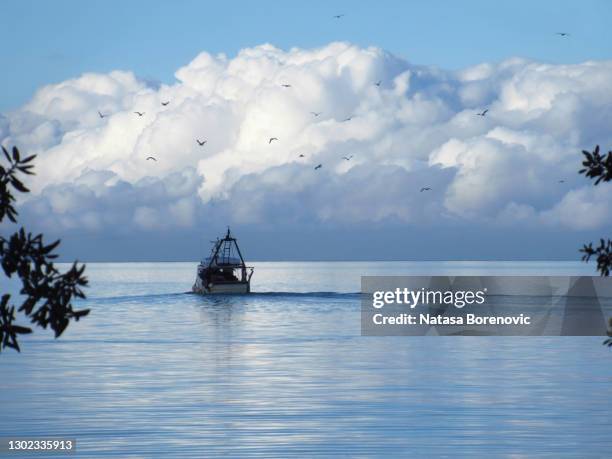 fishing boat followed by seagulls and cumulus clouds in the background - koper photos et images de collection