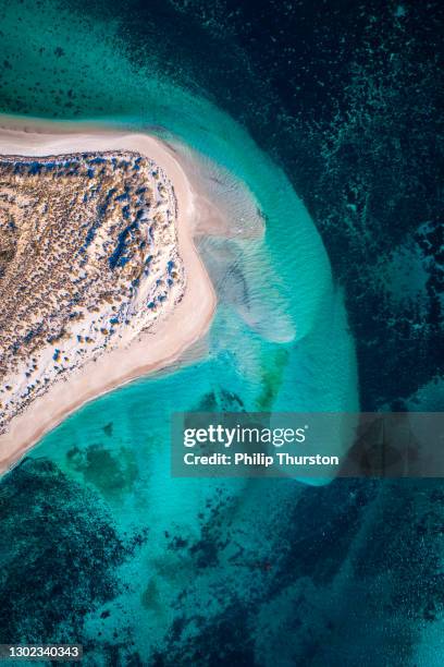 ティールブルーの海とサンゴ礁と白い砂浜の海岸線の空中写真 - reef ストックフォトと画像