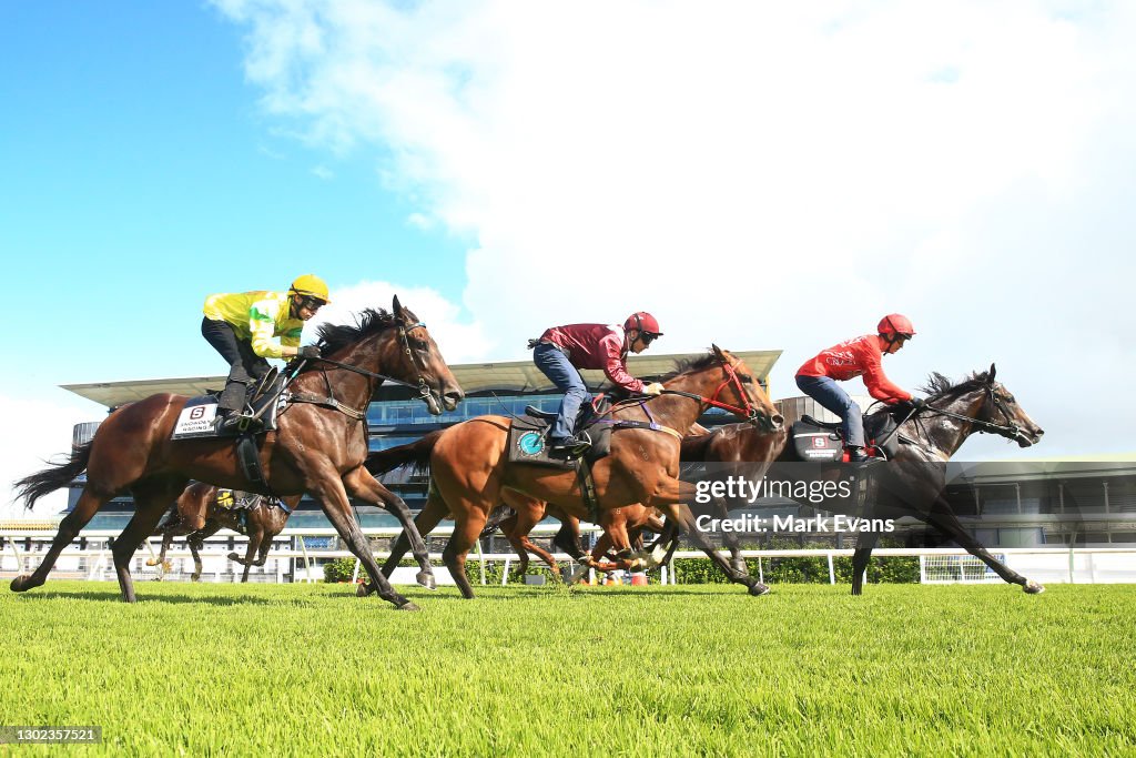Randwick Barrier Trials