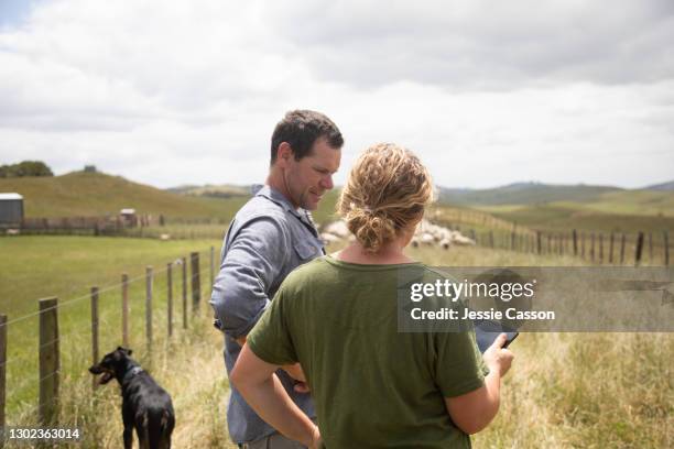 a farming couple look at information on their tablet - couple farm photos et images de collection