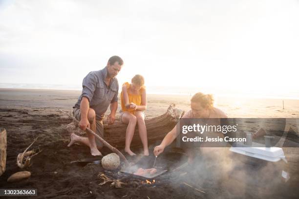 a family cook on a campfire on the beach at dusk - summer camping new zealand stock pictures, royalty-free photos & images