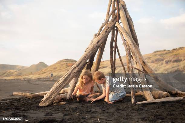 two children play in a home made driftwood hut on the beach - new zealand beach house stock pictures, royalty-free photos & images