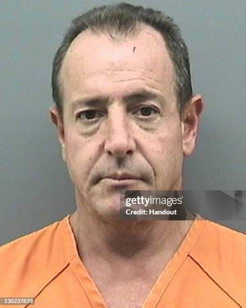 In this mug shot released by the 2011 Hillsborough County Jail, Michael Lohan poses for his mugshot after being arrested for battery domestic...