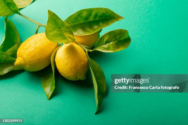 lemon on green background - lemon fruit stockfoto's en -beelden