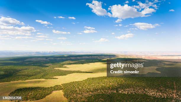 aerial view of landscape covered with bush - american wilderness stock pictures, royalty-free photos & images