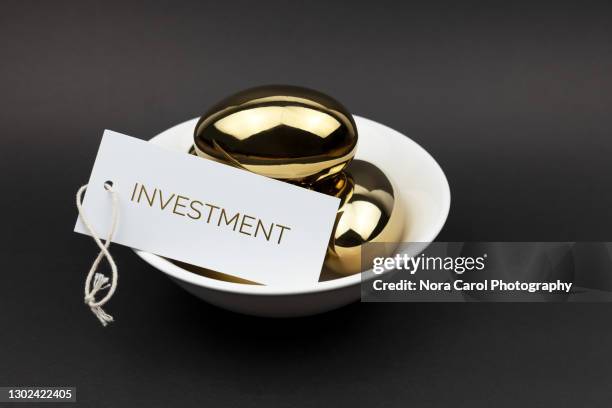 investment concept with golden eggs on a bowl - aktenmappe stock-fotos und bilder