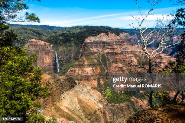 waimea canyon state park - waimea valley stock pictures, royalty-free photos & images