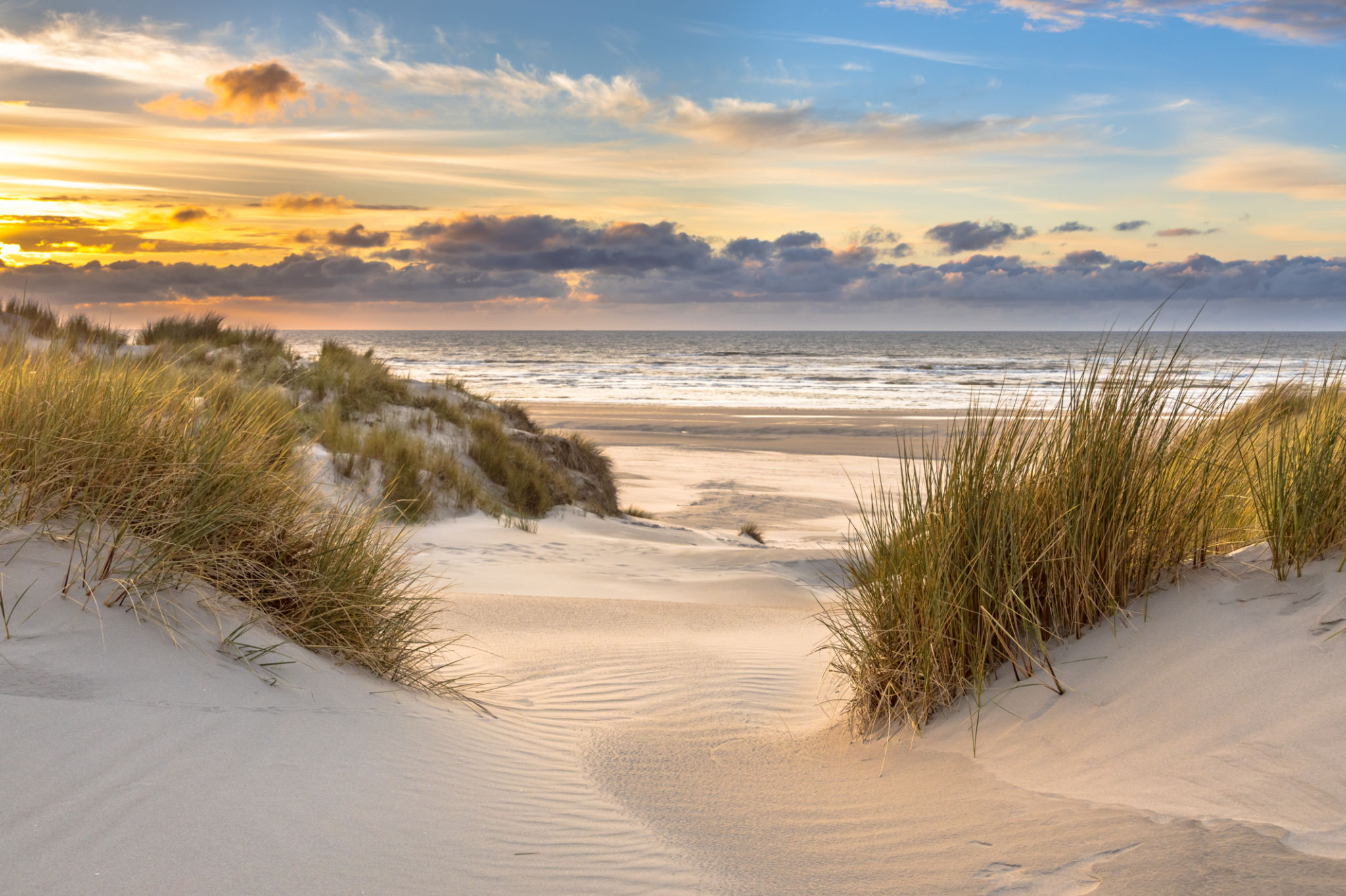 scheveningen beach