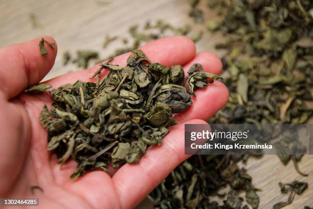 green tea leaves - green tea leaves foto e immagini stock