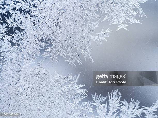 frosted glass texture background - winter weather fotografías e imágenes de stock