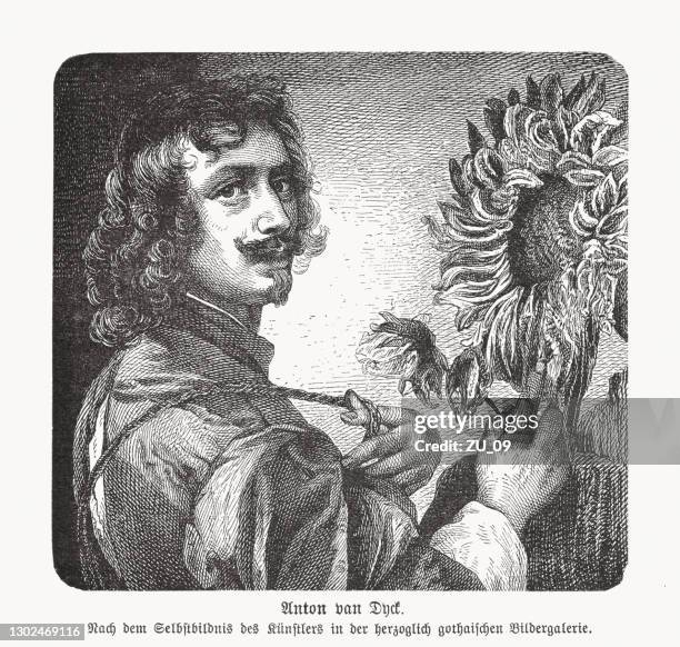 anthony van dyck (1599–1641), flämischer maler, holzstich, veröffentlicht 1893 - looking over shoulder stock-grafiken, -clipart, -cartoons und -symbole