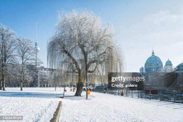 sneeuwpark in centraal berlijn met tv-toren en kathedraal op de achtergrond - winter berlin stockfoto's en -beelden