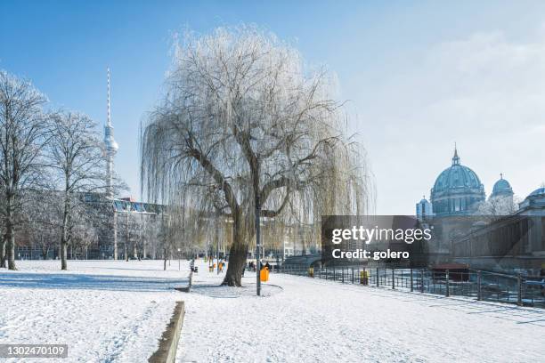 snowy park in central berlin with tv-tower and cathedral in the background - berlin winter stock pictures, royalty-free photos & images