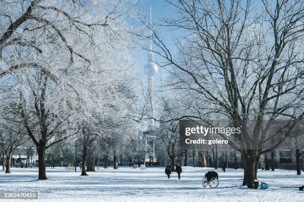 sneeuwpark in centraal berlijn met tv-toren op de achtergrond - berlin winter stockfoto's en -beelden