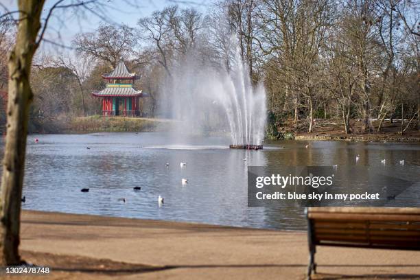 winter in victoria park london - victoria park london stockfoto's en -beelden