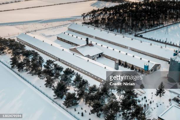 aerial view of a chicken farm in a winter - aerial barn stock pictures, royalty-free photos & images