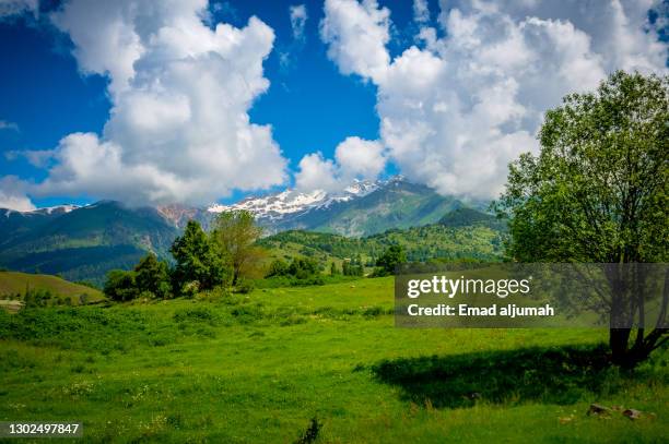 photogenic green hills on caucasus mountain range, svaneti region, georgia - savannah georgia 個照片及圖片檔