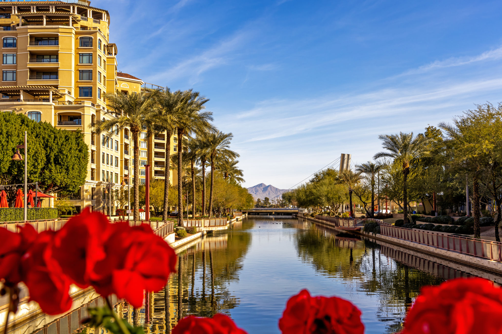 north scottsdale gardens