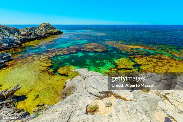 rottnest island jeannies lookout - rottnest island stock pictures, royalty-free photos & images