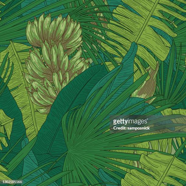 ilustraciones, imágenes clip art, dibujos animados e iconos de stock de patrón sin costuras de hoja de plátano tropical - árbol tropical