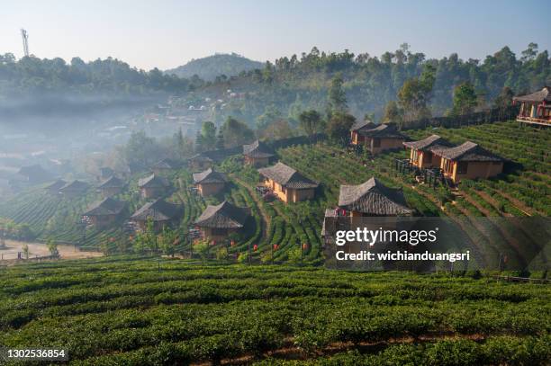 ban rak thai, provinz mae hong son, thailand - chiang mai province stock-fotos und bilder