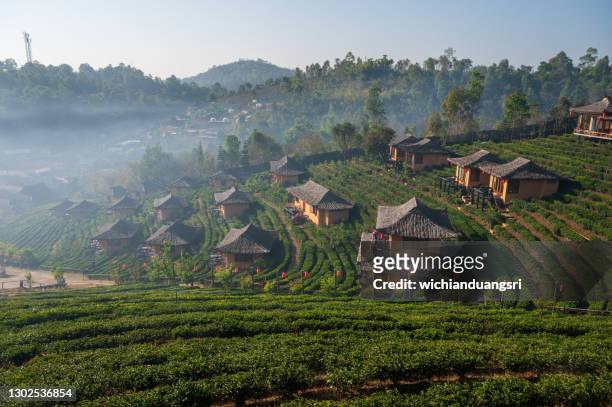ban rak thai, mae hong son province, thailand - chiang mai province stock pictures, royalty-free photos & images