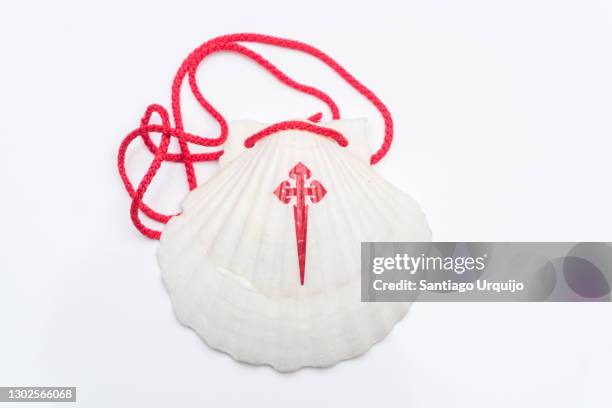 close-up of st. james scallop shell - muschel close up studioaufnahme stock-fotos und bilder