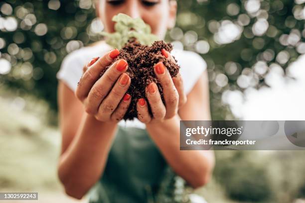 照顧植物 - ground culinary 個照片及圖片檔