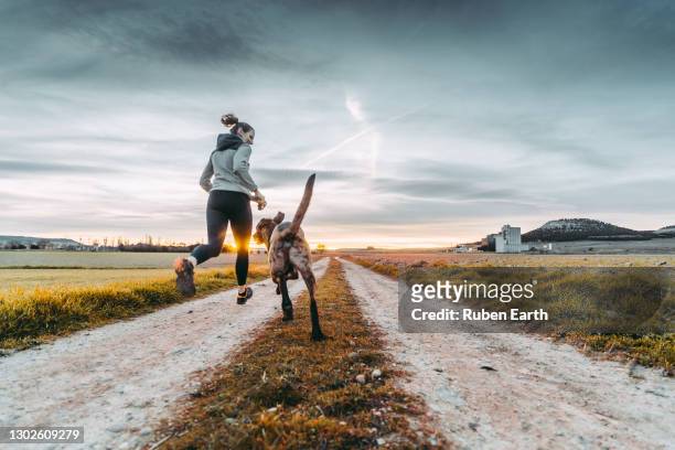 woman and her dog running towards the sunset on a country road - bewegung stock-fotos und bilder