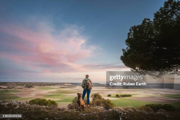 female and a dog looking at the landscape at sunset during a hike - camino de santiago stock-fotos und bilder