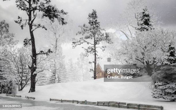 fairy winter landscape - january background stock pictures, royalty-free photos & images