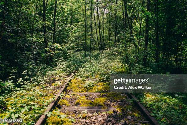 abandonded railway tracks in dense forest. - ghost town stock pictures, royalty-free photos & images